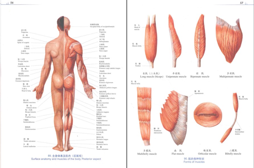 QQ截图20230617221844.png