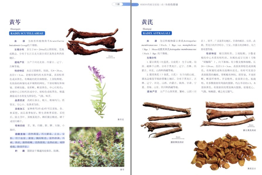 QQ截图20220930081611.png