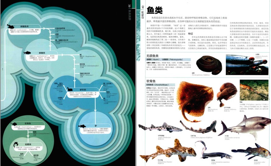 QQ截图20230624084918.png