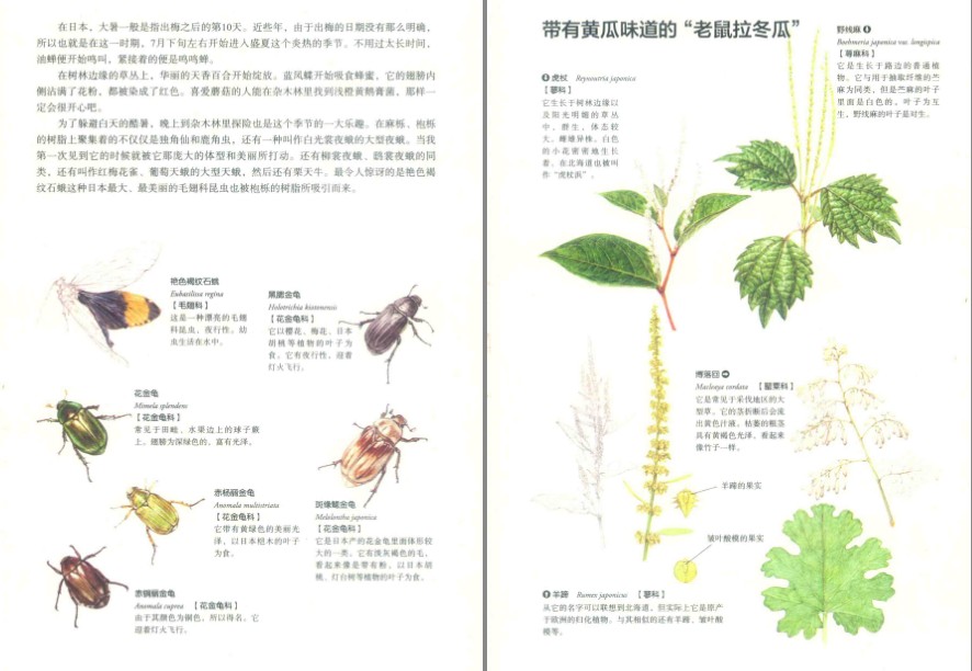 QQ截图20230626083251.png