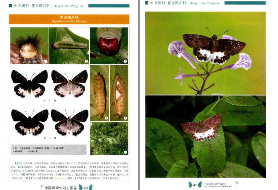 QQ截图20231005213648.png