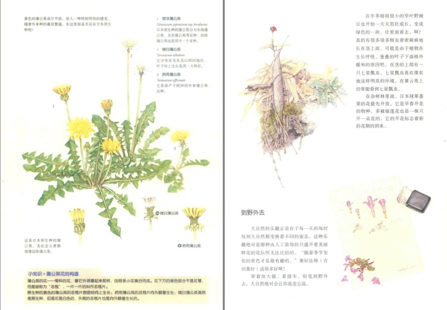 QQ截图20230626083149.png
