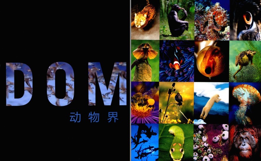 QQ截图20230624084833.png