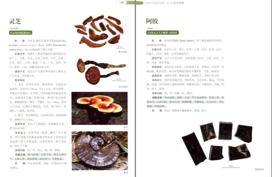QQ截图20220930081444.png