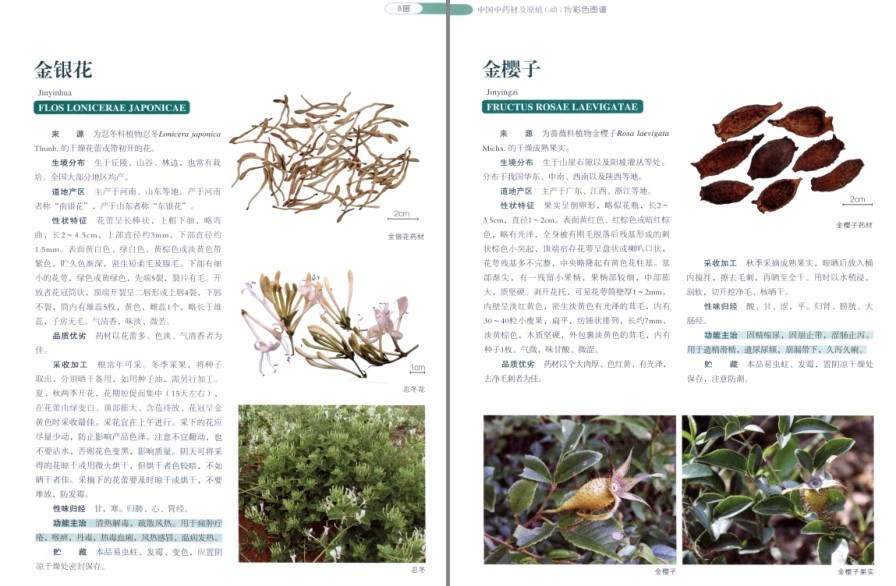 QQ截图20220930081516.png