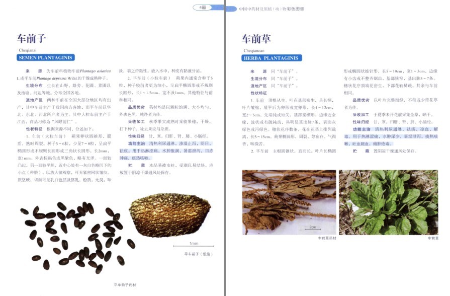 QQ截图20220930081138.png