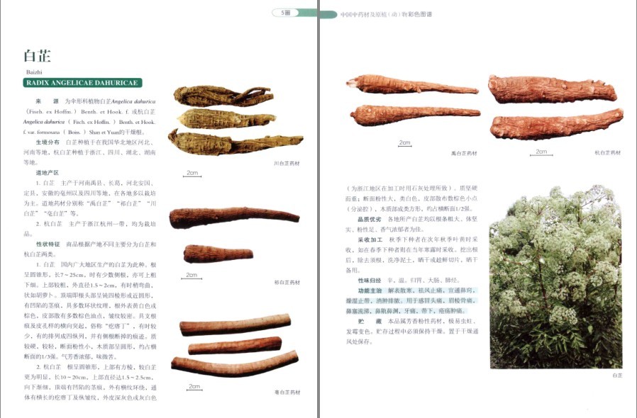 QQ截图20220930081205.png