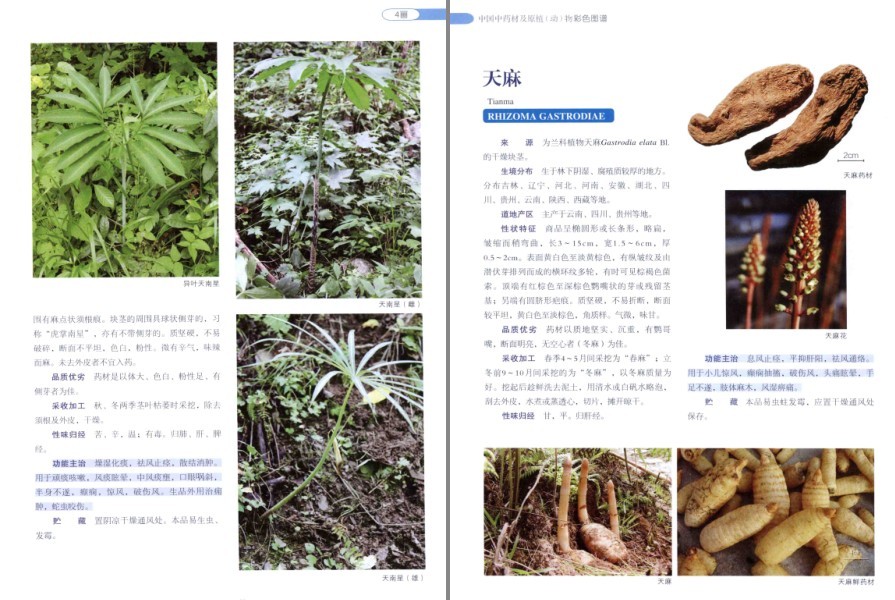 QQ截图20220930081114.png