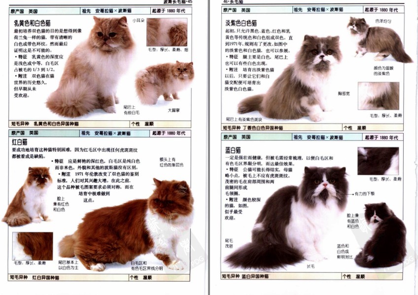 QQ截图20230722151751.png