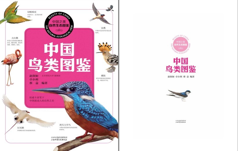QQ截图20230710090330.png