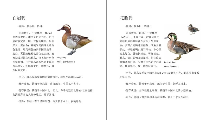 QQ截图20230710090440.png