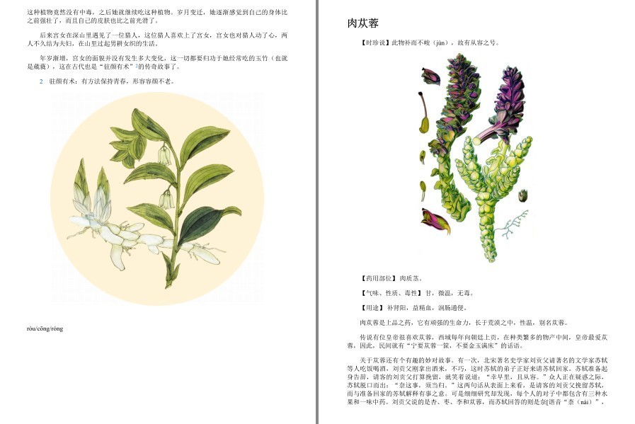 QQ截图20230402104915.png