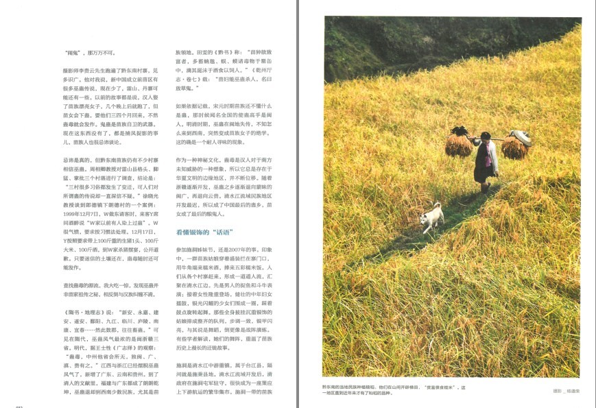 QQ截图20230729083159.png