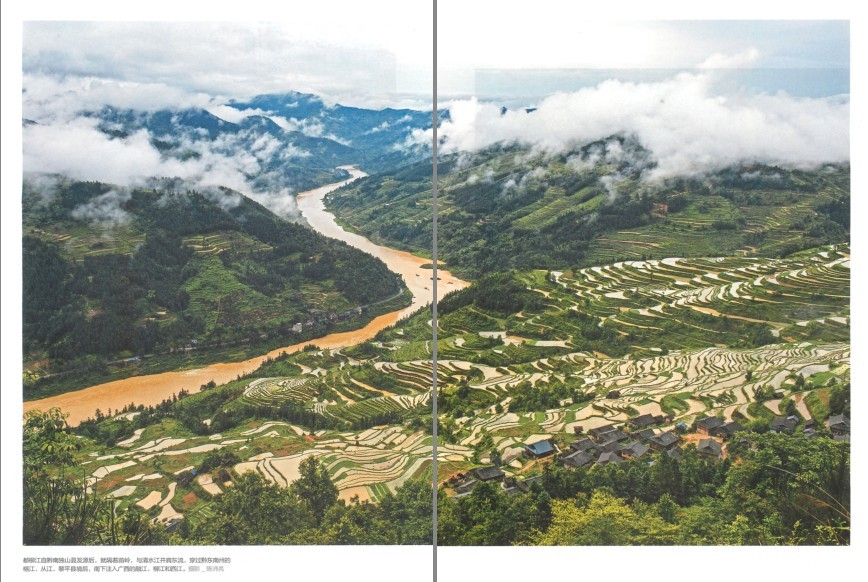 QQ截图20230729083144.png
