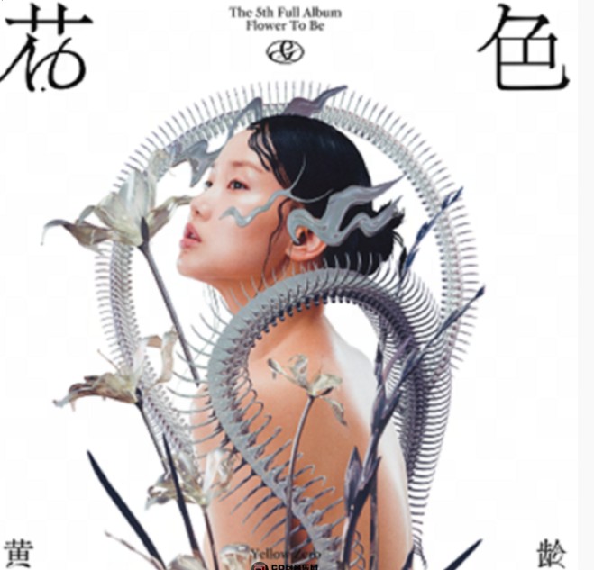 QQ截图20240330123600.png