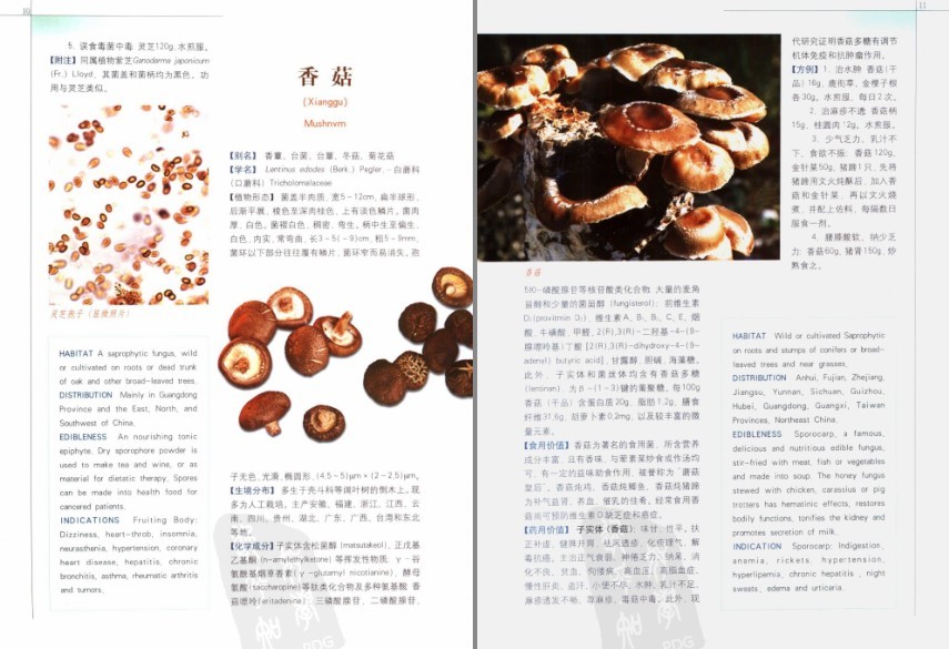 QQ截图20230913112156.png