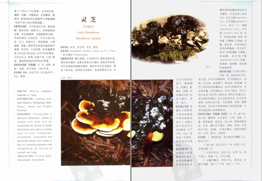QQ截图20230913112150.png